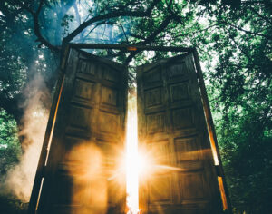 Husrensning Online - Berit Højgaard