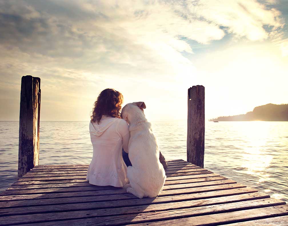 Forstå din hunds adfærd – Berit Højgaard – Spirituel vejleder Forstå din hunds adfærd - Berit Højgaard - Spirituel vejleder